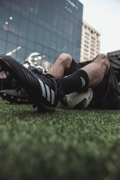 ملخصاتكوكليهاريبوتررحلةسحريةعبرالعوالمالخيالية